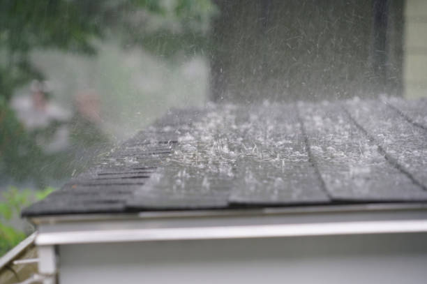 Best Skylight Installation and Repair  in Sturgis, MI