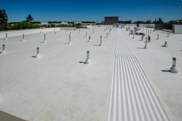 Best Asphalt Shingle Roofing  in Sturgis, MI